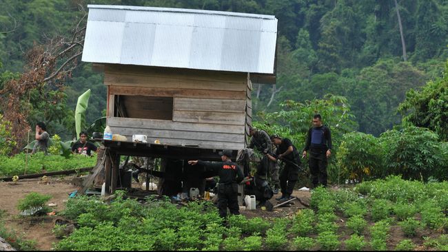 Pegunungan Sulawesi Tengah yang menjadi benteng pertahanan kelompok Teroris Santoso (Foto :ANTARA/ Fiqman Sunandar)